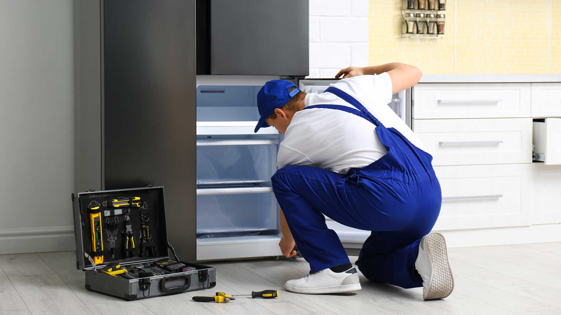 KL Fridge Repair technician with happy customer